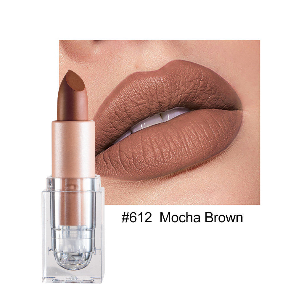 12color Matte Lipstick Crystal Square Nude Red Lip Gloss Makeup for Women Velvet