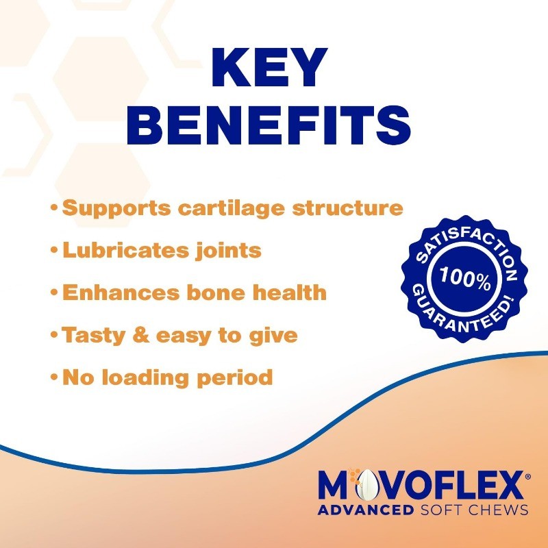 Hip & Joint Support Soft Chews for Medium Dogs with Mobility Complex