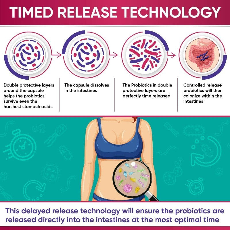 Probiotics for Women with Prebiotics and Digestive Enzymes Gut Health Support