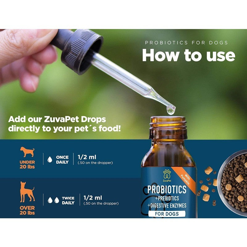 Dog Probiotics with Digestive Enzymes for Diarrhea & Upset Stomach Relief