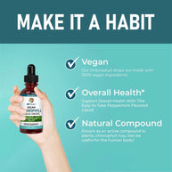 Sinpuyle Vegan Chlorophyll Liquid Drops,Peppermint Flavored,1Bottle 2fl oz 60ml