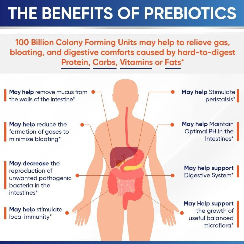 Raw Probiotics for Adults with Prebiotics and Digestive Enzymes Complete Formula