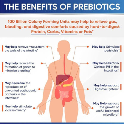 Raw Probiotics for Adults with Prebiotics and Digestive Enzymes Complete Formula