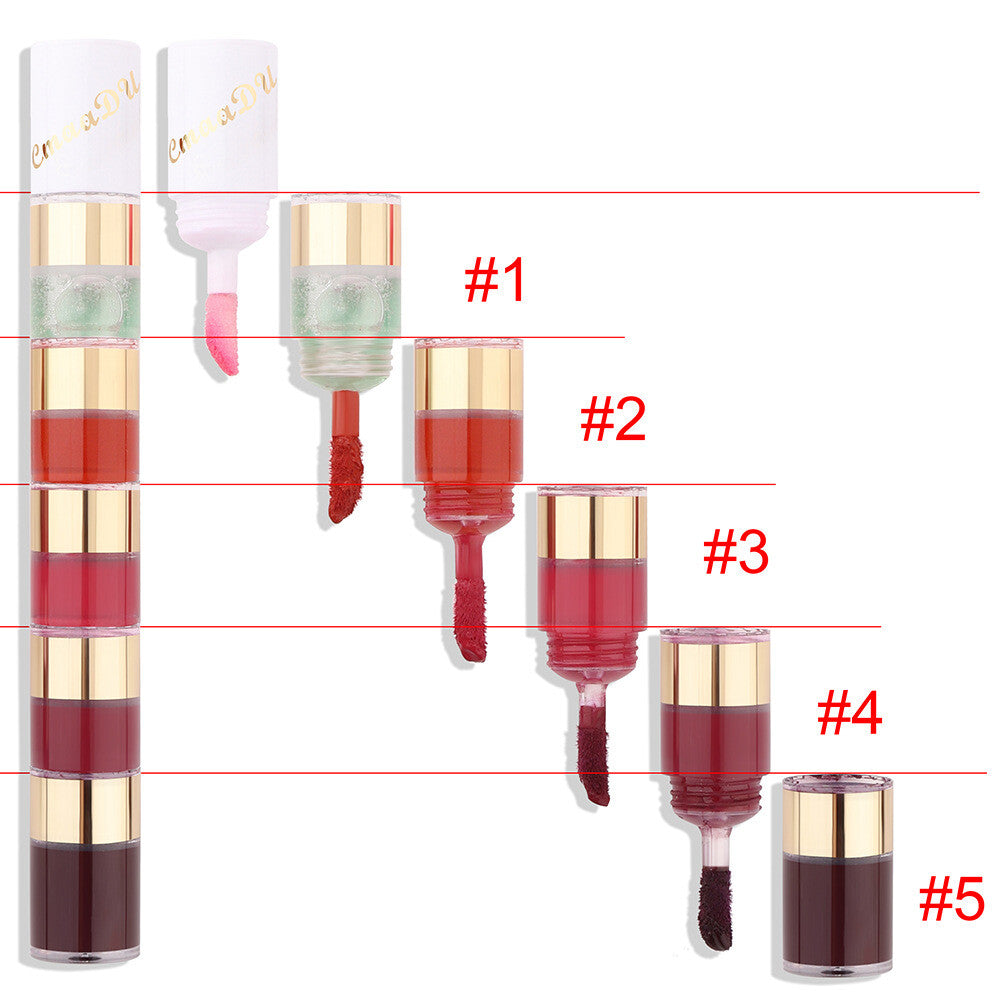 5 Colors 5 in 1 Liquid Lipstick Magic Lip Gloss Matte & Waterproof Long Lasting