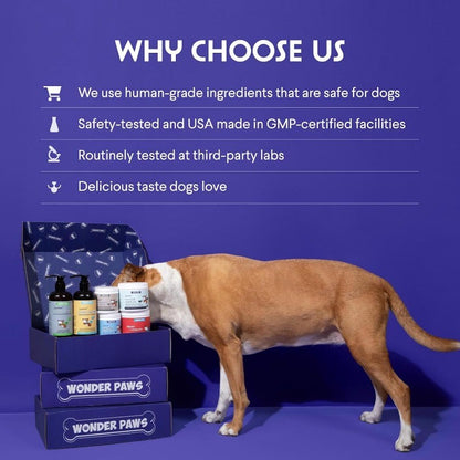 Liquid Collagen for Dogs with Hyaluronic Acid for Skin, Coat & Joint Health