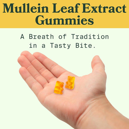 Mullein Gummies 60 Count for Lung Support and Respiratory Health