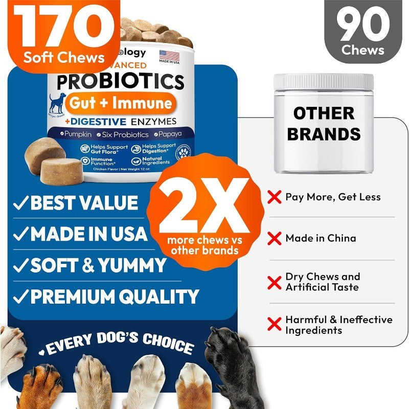 Dog Probiotics Chews with Digestive Enzymes for Gut Health & Diarrhea Relief