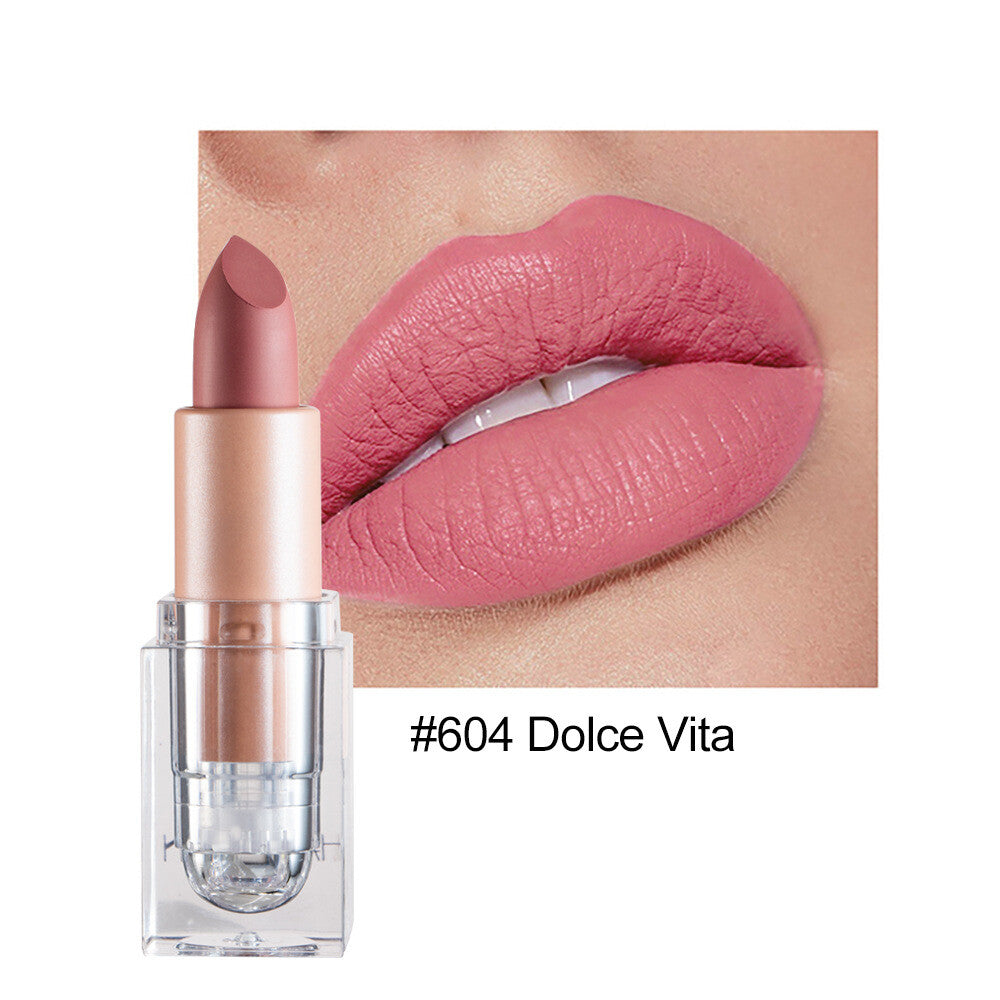 12color Matte Lipstick Crystal Square Nude Red Lip Gloss Makeup for Women Velvet