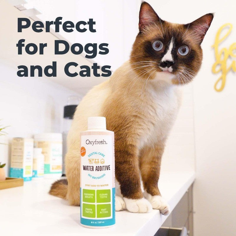 Pet Dental Water Additive Fights Bad Breath, Tartar & Plaque, Vet Recommended