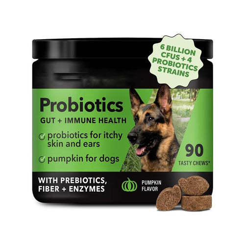 Dog Probiotics for Gut Health Pumpkin Flavor Chews Supports Skin Ear Health