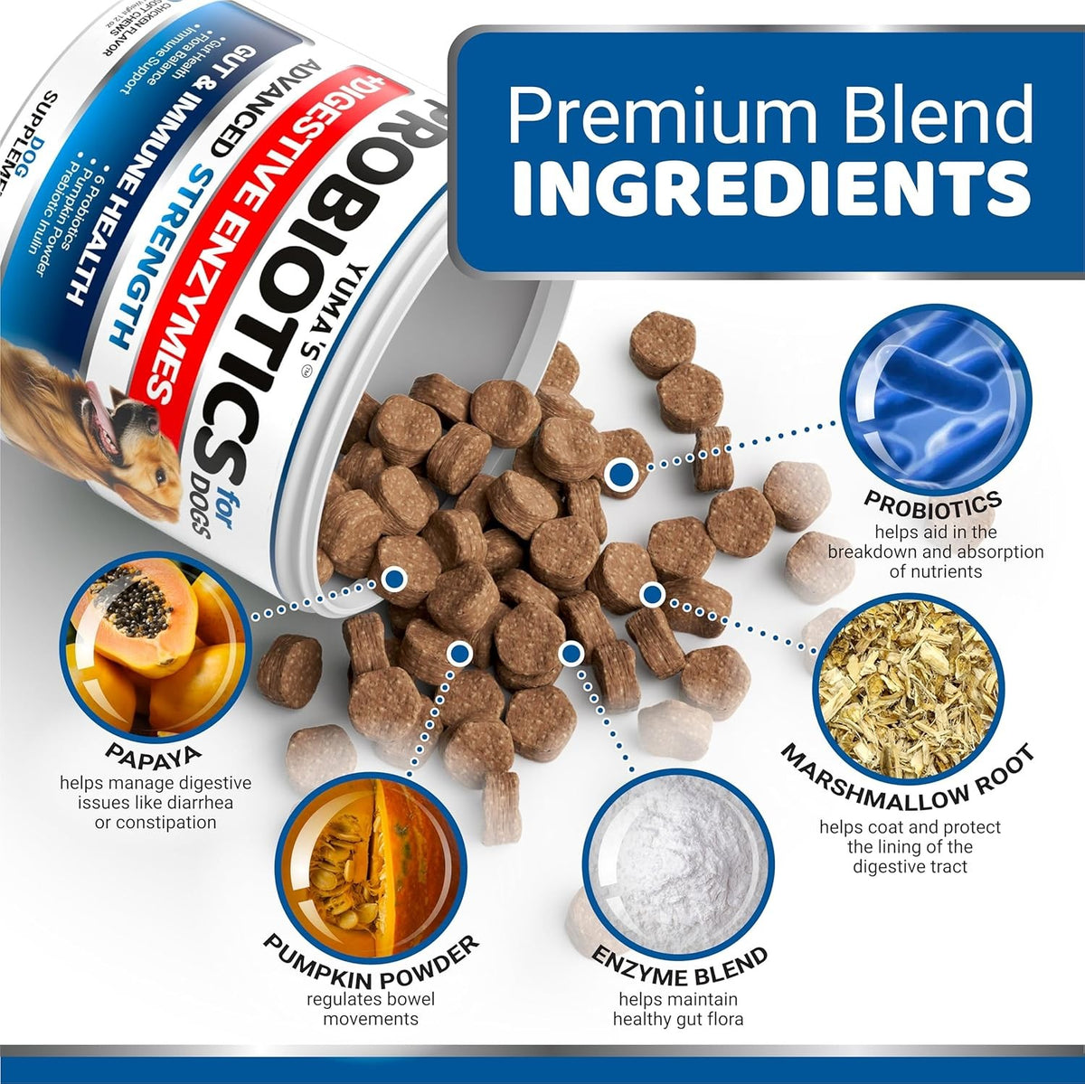Probiotics for Dogs with Digestive Enzymes for Gut Health & Stomach Relief