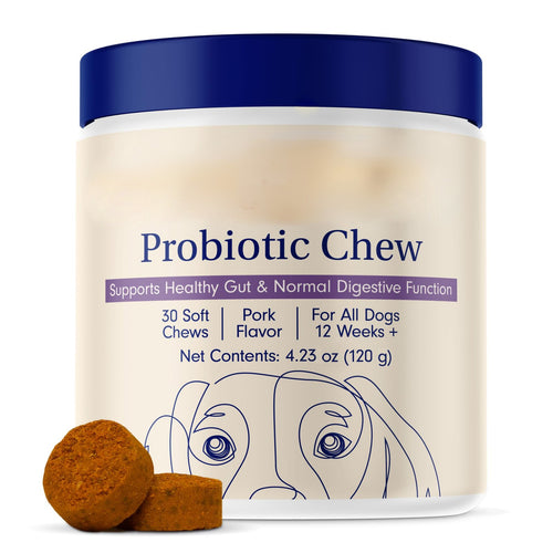 Dog Probiotics for Gut Health 30 Soft Chews Pork Flavor Digestive Support