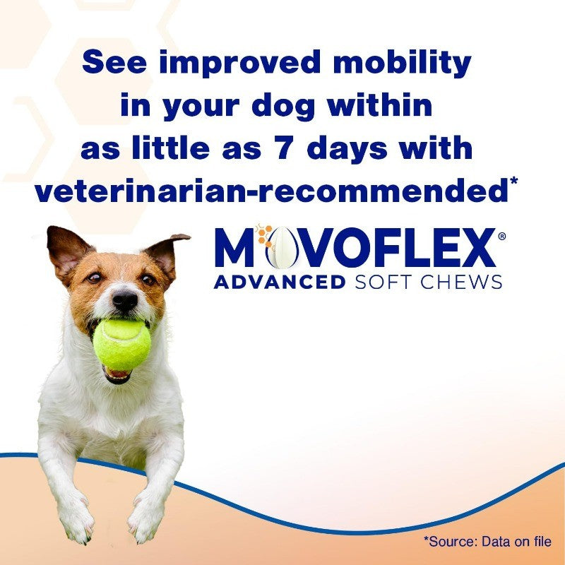 Hip & Joint Support Soft Chews for Medium Dogs with Mobility Complex