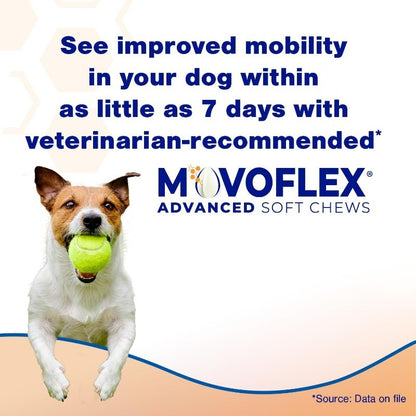 Hip & Joint Support Soft Chews for Medium Dogs with Mobility Complex