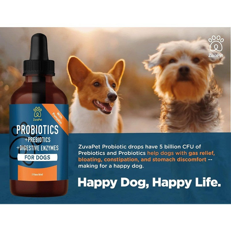 Dog Probiotics with Digestive Enzymes for Diarrhea & Upset Stomach Relief