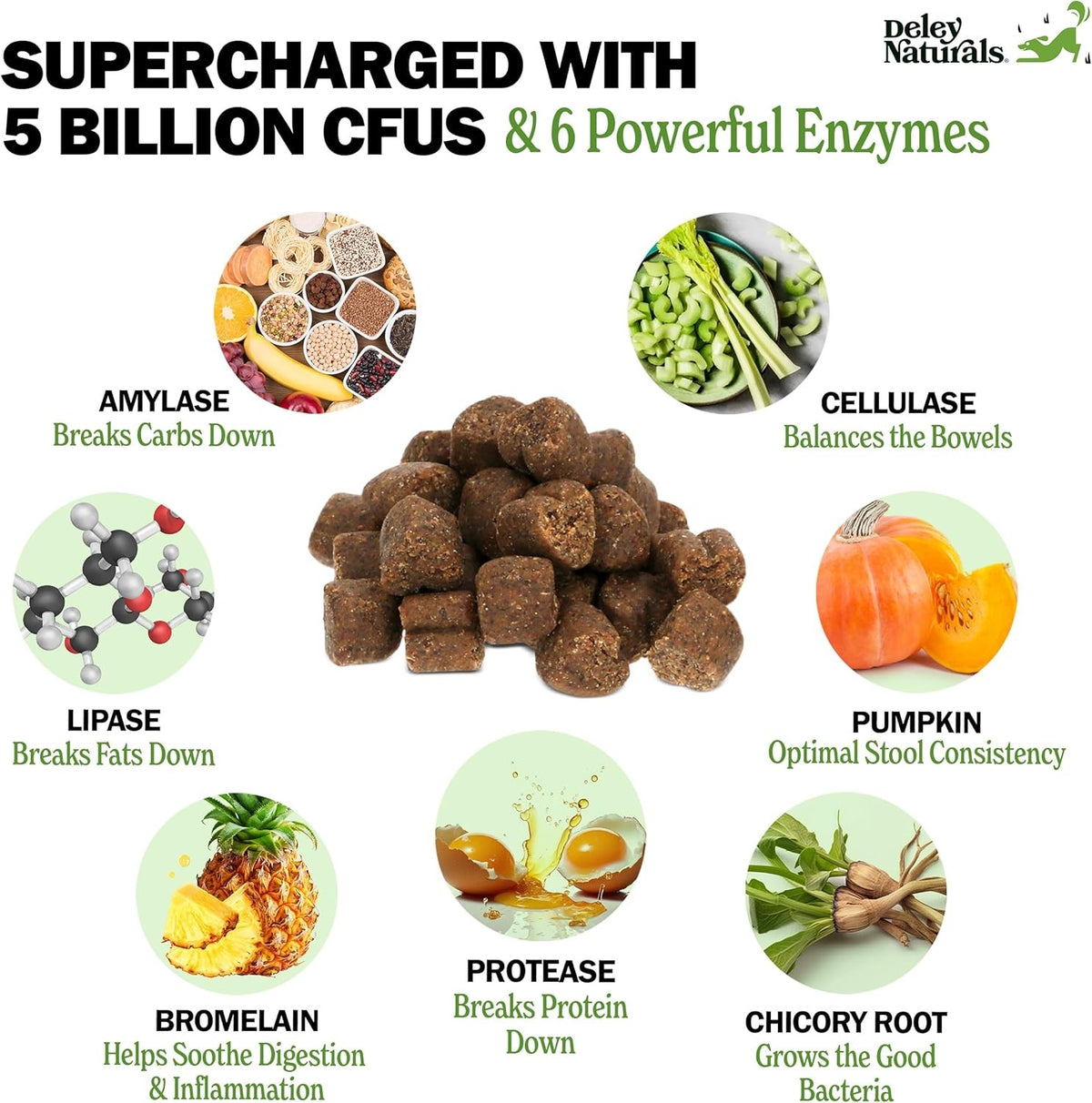 Dog Probiotic Chews with Digestive Enzymes for Gut Health & Allergy Support