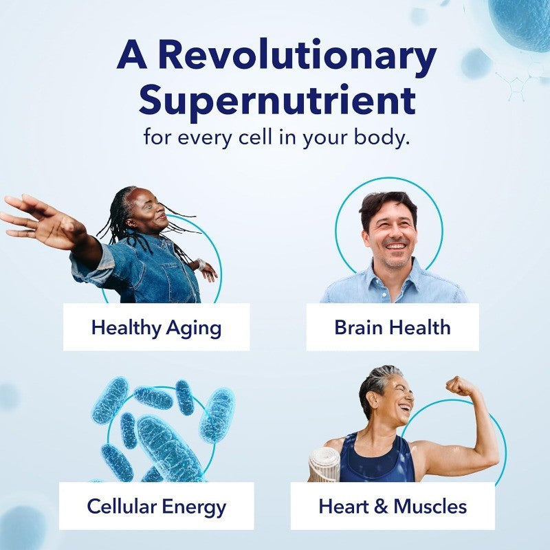 Cellular Energy Supplement with Nicotinamide Riboside for Brain Health Support