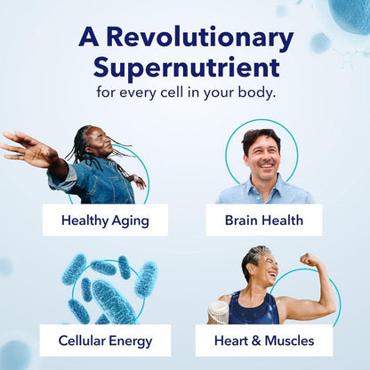 Cellular Energy Supplement with Nicotinamide Riboside for Brain Health Support