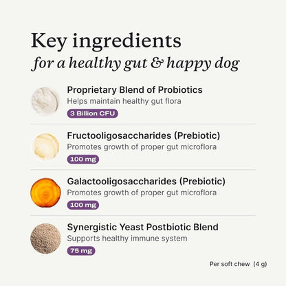 Dog Probiotic Soft Chews for Gut Health, Diarrhea & Allergy Relief, Salmon 30 Ct