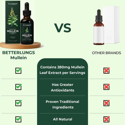 Betterbrand Mullein & Chlorophyll Drops for Lung Detox & Respiratory Support