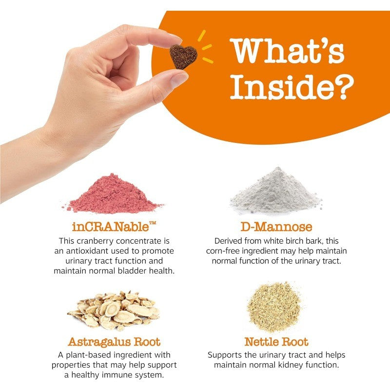 Cranberry Chews for Dogs for Urinary Tract, Immune & Gut Support