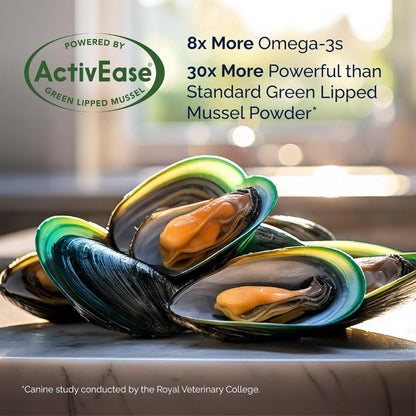 Hip & Joint Chews with Glucosamine & Omega 3 for Mobility Support