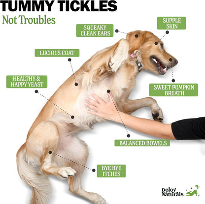 Dog Probiotic Chews with Digestive Enzymes for Gut Health & Allergy Support
