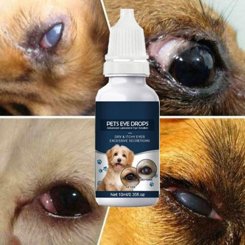 Broad-Spectrum Pet Eye Drops Treats Bacterial Viral Fungal Infections for Dogs