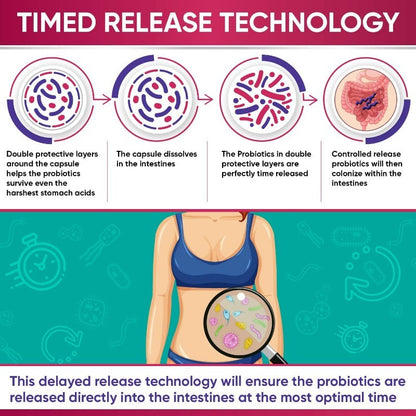 Probiotics for Women with Prebiotics and Digestive Enzymes Gut Health Support