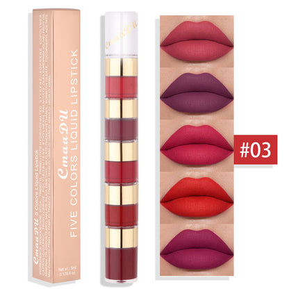 5 Colors 5 in 1 Liquid Lipstick Magic Lip Gloss Matte & Waterproof Long Lasting