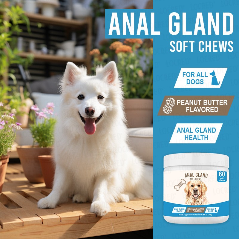 Dog Anal Gland Support Chewable Treats Peanut Butter Flavor 85oz 240g