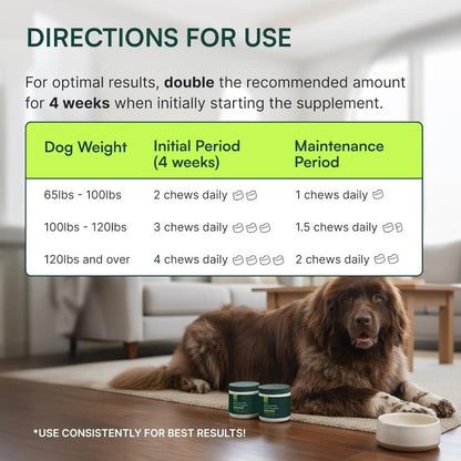 Dog Hip & Joint Supplement with Glucosamine, Omega 3 & Green Lipped Mussel