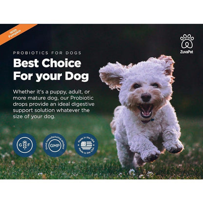 Dog Probiotics with Digestive Enzymes for Diarrhea & Upset Stomach Relief