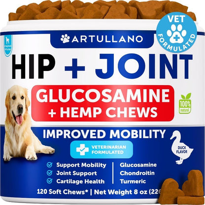 Dog Hip & Joint Chews with Glucosamine & Chondroitin for Mobility Support