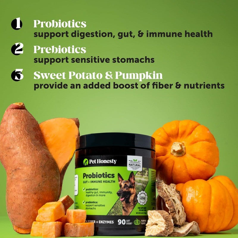 Dog Probiotics for Gut Health & Diarrhea Relief with Prebiotics, Pumpkin Flavor