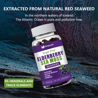 Sinpuyle Sugar Free Elderberry Sea Moss Gummies Energy Boost Supplement-1 Bottle