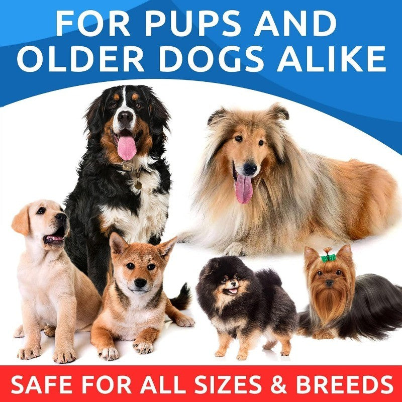 Omega 3 for Dogs with Salmon Oil for Healthy Skin & Coat and Joint Support