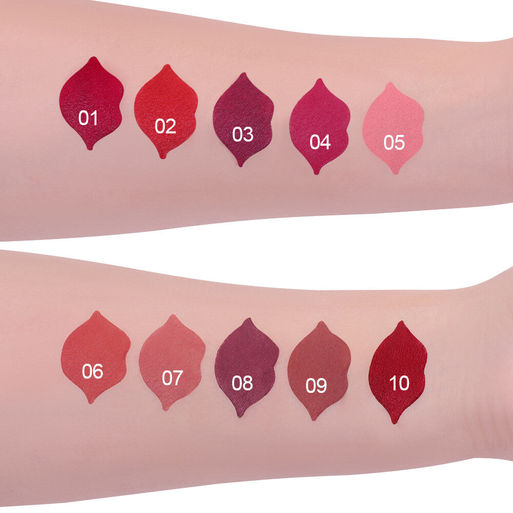Matte Waterproof Lipstick & Lip Gloss - 10 Colors, Lip-Shaped Design