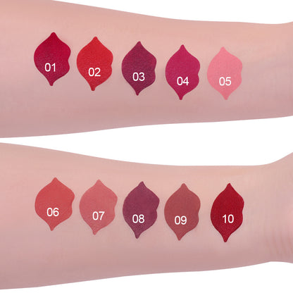 Matte Waterproof Lipstick & Lip Gloss - 10 Colors, Lip-Shaped Design