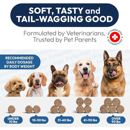 Dog Probiotics Chews with Digestive Enzymes for Gut Health & Diarrhea Relief