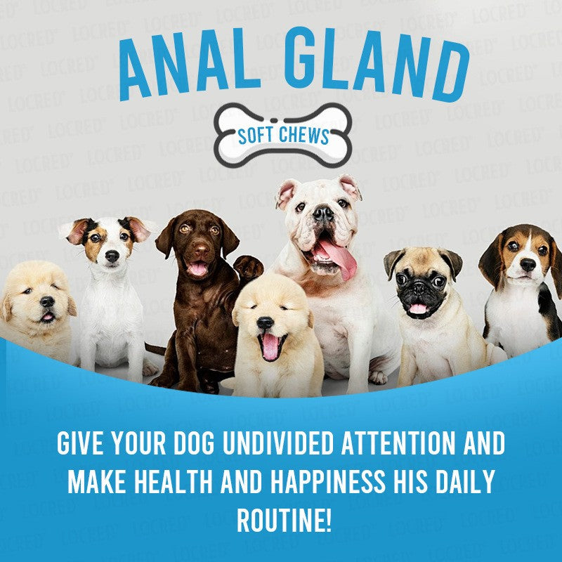 Dog Anal Gland Support Chewable Treats Peanut Butter Flavor 85oz 240g