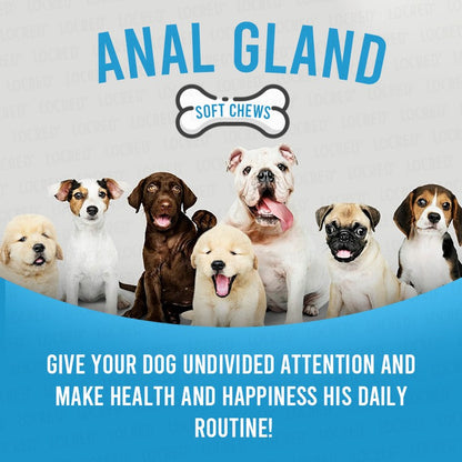 Dog Anal Gland Support Chewable Treats Peanut Butter Flavor 85oz 240g