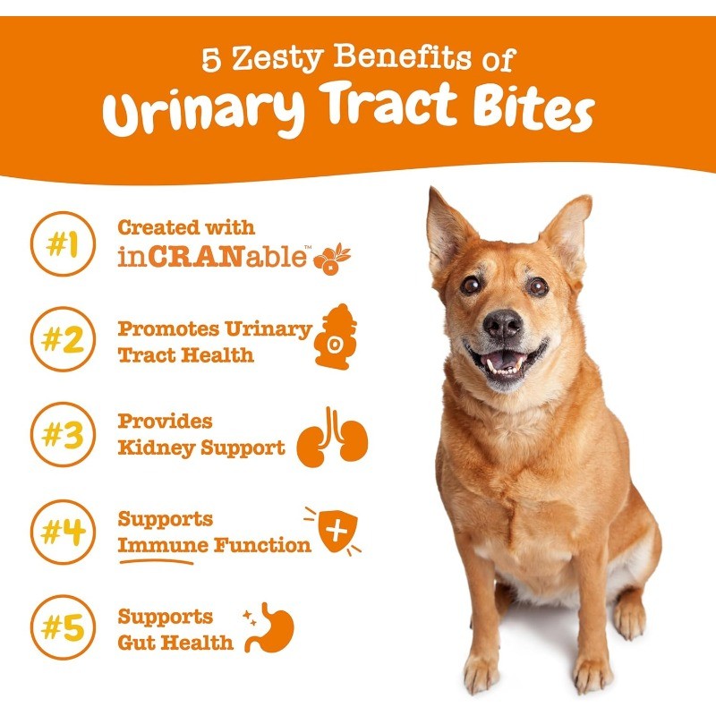 Cranberry Chews for Dogs for Urinary Tract, Immune & Gut Support