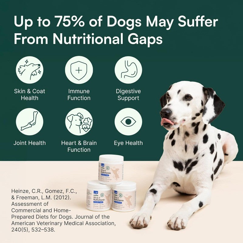 Multivitamin Soft Chews for Joint, Skin & Immune Health with Omega 3