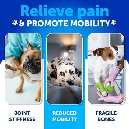 Dog Hip & Joint Chews with Glucosamine & Chondroitin for Mobility Support