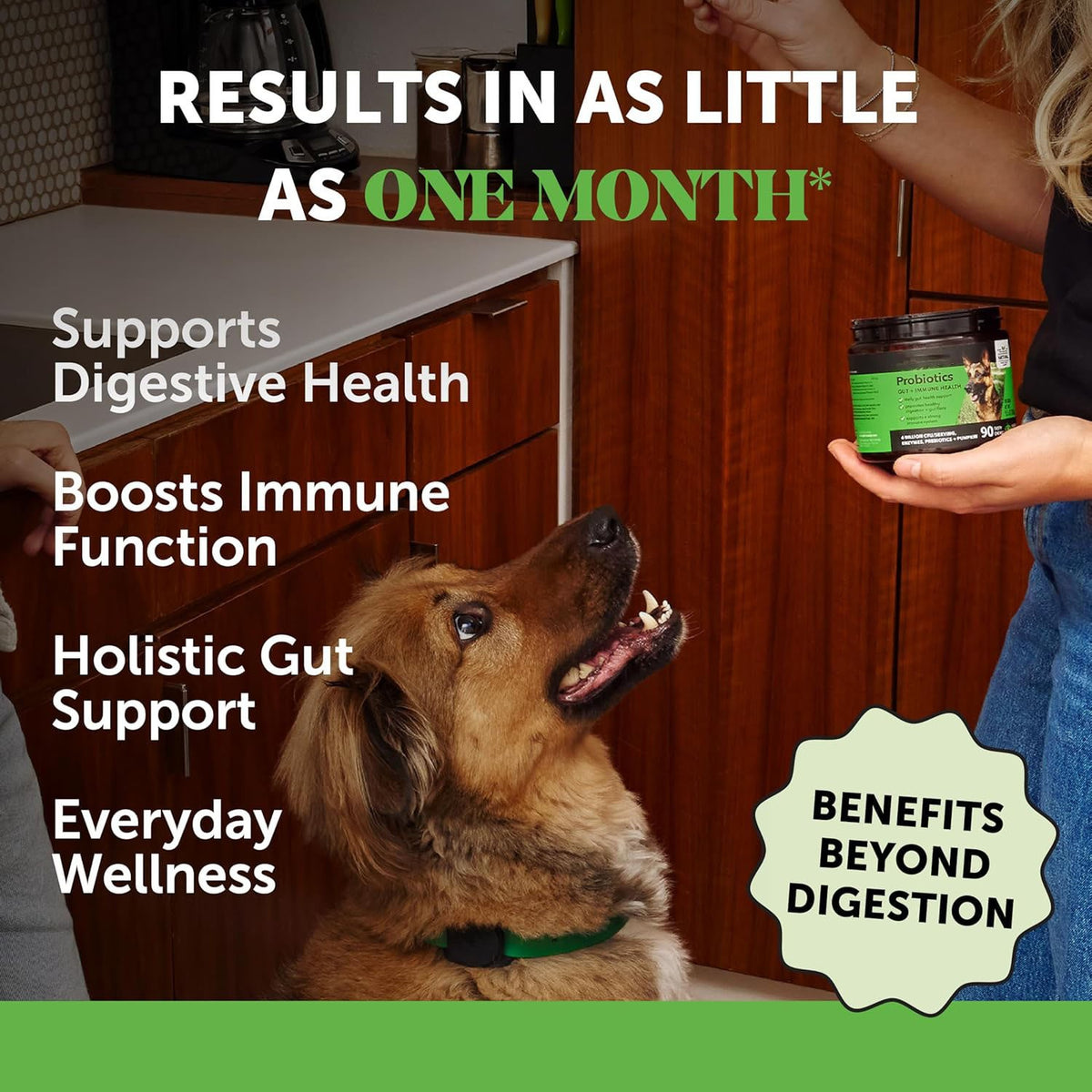 Dog Probiotics for Gut Health Pumpkin Flavor Chews Supports Skin Ear Health