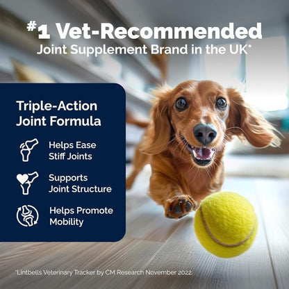 Hip & Joint Chews with Glucosamine & Omega 3 for Mobility Support