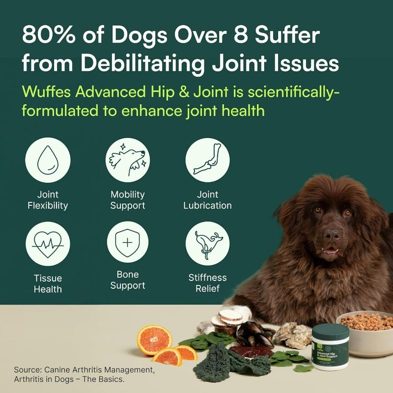 Dog Hip & Joint Supplement with Glucosamine, Omega 3 & Green Lipped Mussel