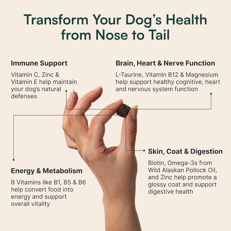 Multivitamin Soft Chews for Joint, Skin & Immune Health with Omega 3