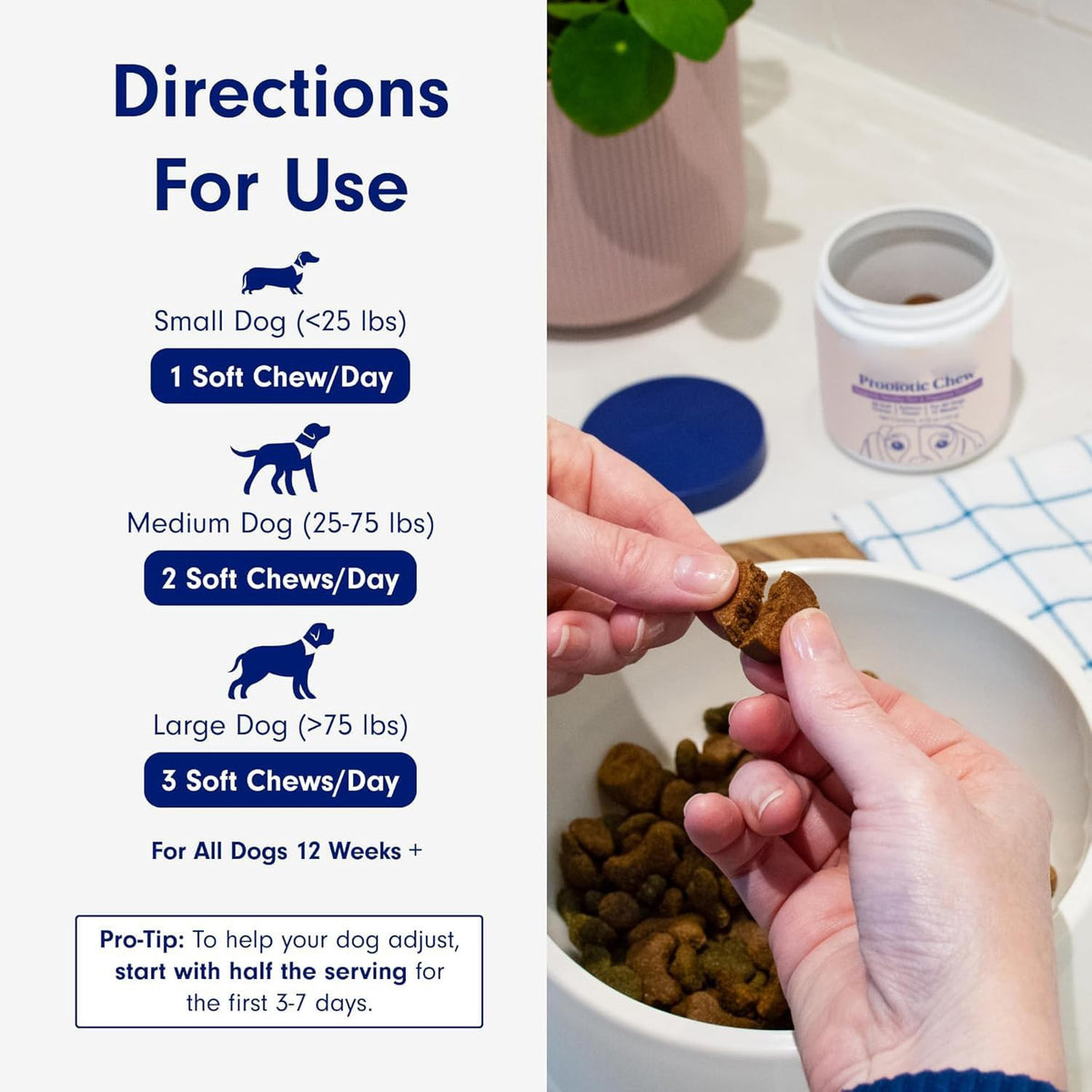 Dog Probiotics for Gut Health 30 Soft Chews Pork Flavor Digestive Support